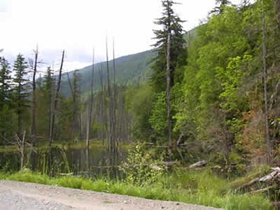 Fish Habitat at 8km