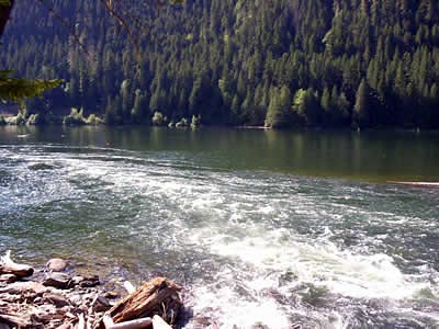 Fishing in the river