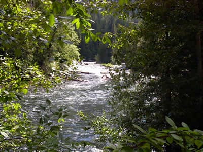 Fishing in the river