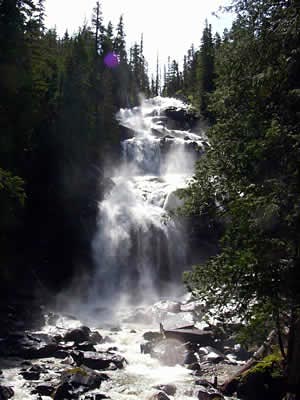 Grizzly Falls