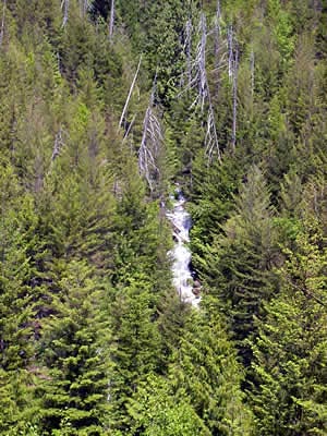 Logging valley