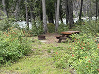 RV/Campsite 3