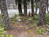 Cabin 5