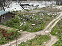 Cabin 5